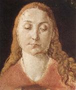 Albrecht Durer Portrait of a woman with Loose Hair oil painting